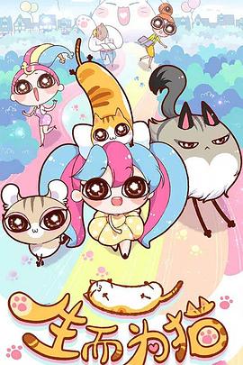 安阳知名网站优化地址